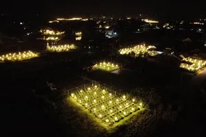 Quảng Ngãi: Rực sáng ở thủ phủ hoa cúc tết lớn nhất miền Trung