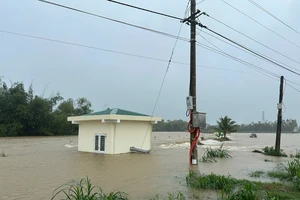 Mực nước trên các sông ở Quảng Ngãi lên nhanh