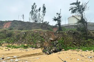 Sạt lở bờ biển đe dọa nhiều công trình ở Quảng Ngãi