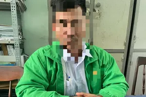 Tài xế xe buýt thử việc dùng bằng lái xe giả