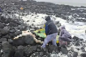 Phát hiện 1 thi thể nam giới dạt vào bờ biển Quảng Ngãi