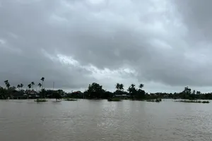 Ngập úng hơn 1.200 ha lúa đã gieo sạ ở Quảng Ngãi 