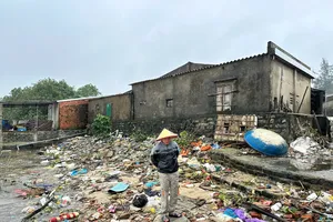 Sạt lở bờ biển kéo dài 500 mét, người dân Quảng Ngãi thấp thỏm