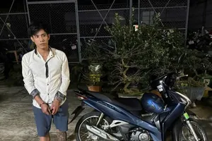 Mới ra tù lại bị bắt vì trộm cắp tài sản