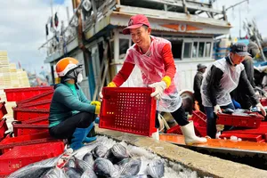 Ngư dân Quảng Ngãi bội thu chuyến biển ngày giáp Tết