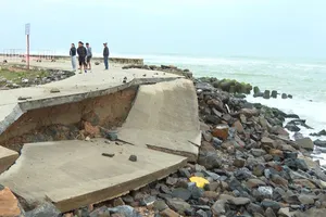 Phó Chủ tịch tỉnh Quảng Ngãi chỉ đạo khắc phục hư hỏng dải kè chống sạt lở