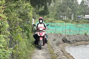 30 hộ dân ở Quảng Ngãi kêu cứu vì bị 500 mét đường 'hành xác'