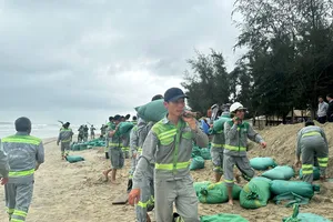 Hơn 350 người ‘cứu’ bờ biển đẹp nhất Quảng Ngãi khỏi nguy cơ bị xóa sổ