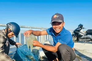 Vớt sứa trên sông Trường Giang