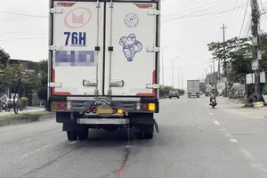 Xe chở hải sản xả nước thải tanh nồng xuống đường ở Quảng Ngãi