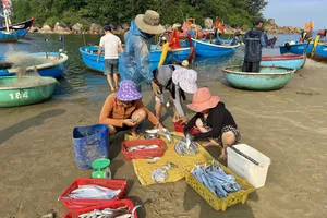 Rôm rả chợ cá bên mép sóng ở làng chài Sơn Trà