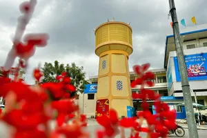 Cận cảnh thủy đài cổ trăm năm tuổi ở Quảng Ngãi