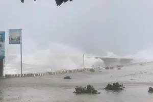 Hơn 100 du khách mắc kẹt trên đảo Lý Sơn do ảnh hưởng bão số 1