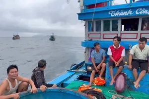 Chìm tàu cá gần đảo Lý Sơn, 11 ngư dân được cứu kịp