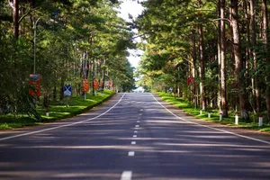 Quảng Ngãi sẵn sàng triển khai sân bay và đường sắt tốc độ cao