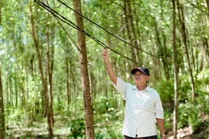 Hơn 30 hộ dân ở Quảng Ngãi 4 năm mỏi mòn chờ... điện sáng