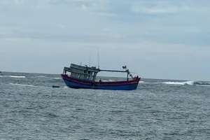 Tàu cá mắc cạn gần đảo Lý Sơn