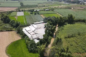 Quảng Ngãi yêu cầu xử lý cơ sở chế biến mủ cao su trái phép, gây ô nhiễm môi trường