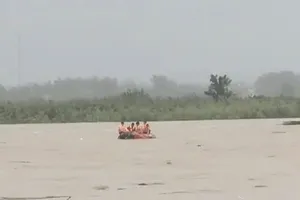 Cứu kịp người mắc kẹt giữa sông Trà Khúc, 6 con bò bị lũ cuốn trôi