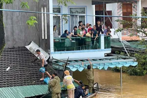 Lũ trên các sông ở Quảng Ngãi đang rút