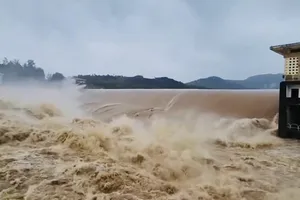 Mưa rất to ở Quảng Ngãi, lũ các sông đang lên rất nhanh