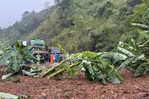 Hơn 450 điểm sạt lở bủa vây hạ tầng giao thông Quảng Ngãi