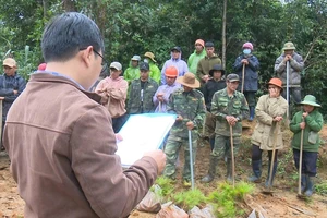 Chiếm đất rừng sản xuất trái phép, 4 hộ dân bị phạt hơn 148 triệu đồng