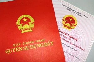 Tỉ lệ cấp sổ hồng ở TP.HCM đạt 93,5% chỉ tiêu đặt ra