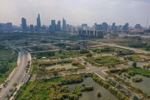 Nghị định mới về đất đai: Bổ sung quy định về đấu giá quyền sử dụng đất 