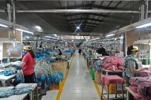 Chính phủ yêu cầu báo cáo về số tiền còn dư khi hỗ trợ người lao động thuê nhà 