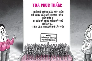 Suýt mất 1 tỉ tiền cọc vì mua đất lúa rồi chờ ngày thành đất ở