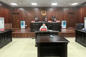 Đề xuất thành lập tòa án chuyên biệt về đất đai