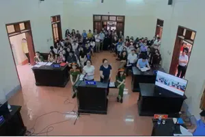 TAND tỉnh Nghệ An yêu cầu báo cáo vụ cô giáo lãnh 5 năm tù vì ‘thanh toán sai gần 45 triệu đồng’