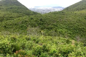 Vì sao tỉnh Khánh Hòa chậm thi hành 1 bản án hành chính?