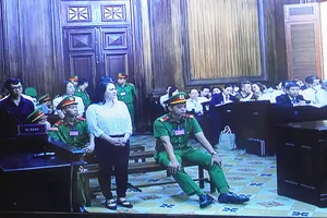 Bà Nguyễn Phương Hằng: 'Hành vi của bị cáo là sai nhưng sai trong trạng thái bị kích động'