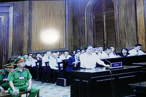 Bà Nguyễn Phương Hằng bị phạt 3 năm tù