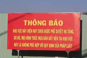 4 người đứng tên công ty giùm có dấu hiệu đồng phạm trong vụ lừa đảo hơn 129 tỉ đồng 
