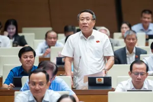 'Nhiều nhà đầu tư phải cố vẽ dự án cho dính 1 mét vuông đất ở'