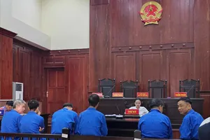 Đang xử phúc thẩm cựu giám đốc Sở TN&MT Đồng Nai vụ biến đất công thành tư