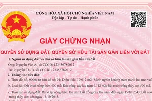 Lấy ý kiến về mẫu 'sổ hồng' mới theo Luật Đất đai 2024 
