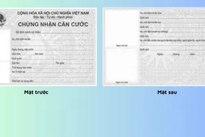 Thủ tục cấp giấy chứng nhận căn cước cho người gốc Việt Nam từ 1-7
