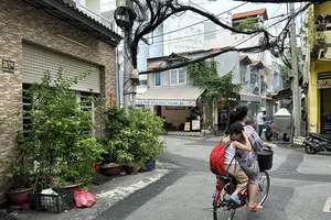 Đặt chậu cây cảnh trước cửa nhà có bị xử phạt không?