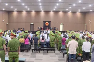 Làm gì để không còn những đại án như chuyến bay giải cứu?