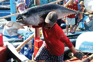 Việt Nam trước các ‘bài toán’ về môi trường biển