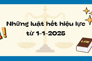 Nhiều luật hết hiệu lực từ 1-1-2025
