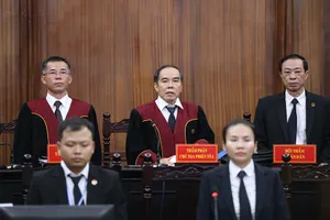 Hình phạt cho người giúp sức có vai trò hạn chế