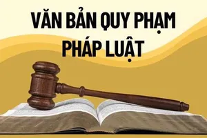 Đề xuất "thủ tục đặc biệt" khi ban hành văn bản quy phạm pháp luật 