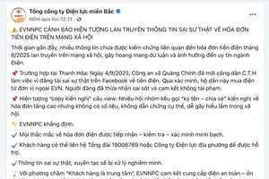 Đăng tin sai sự thật liên quan hóa đơn tiền điện trên mạng xã hội, bị xử lý ra sao?