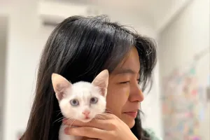 Khoảng trống pháp lý sau những giọt nước mắt của chủ nuôi chó, mèo