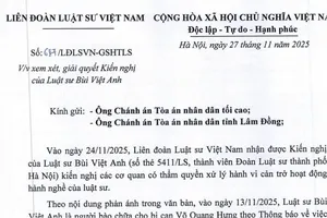 Liên đoàn Luật sư lên tiếng vụ 'tòa ra văn bản không cho luật sư gặp bị cáo đang bị tạm giam' 